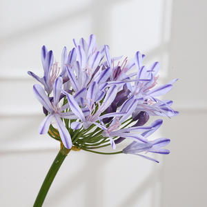 Tallo de Flor de Lirio del Nilo Artificial, Tallo Largo de Agapanthus, Decoración para el Hogar, Flor Artificial Realista de Agapanthus para Manualidades <span class=keywords><strong>y</strong></span> Bodas - Product Image 3