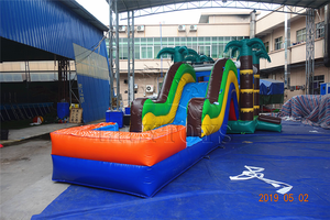 Toboggan gonflable pour enfants de qualité commerciale, petit toboggan aquatique gonflable pas cher à vendre - Product Image 5