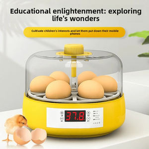 Incubateur d'œufs intelligent entièrement automatique pour petits élevages domestiques, avec lit d'eau, pour œufs de cailles, de poussins et de perroquets - Product Image 2