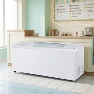 <span class=keywords><strong>Congelatore</strong></span> Commerciale per Gelati XMING con Porta Scorrevole in Vetro, Freezer Profondo per Distributori e Marchi di Gelato con Certificazioni CE/ETL/NSF - Product Image 2