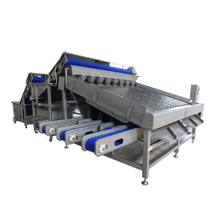 New Stainless steel shrimp sorting machine weight grading machine GFX-18