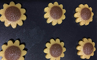 Nouvelle machine à enrober les biscuits Pinwheel automatique 220V haute capacité en acier inoxydable 304 pour les usines alimentaires