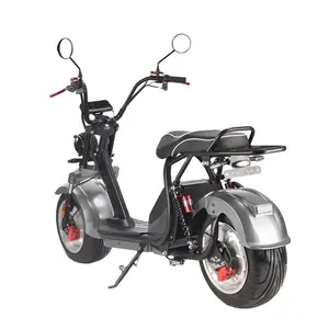 electric scooter 2000w 12ah 60v fat tire with high efficiency removable lithium battery motorcycles with coc/eec citycoco adult