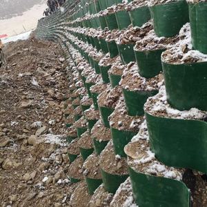 Géocellule HDPE/plastique pour l'extérieur Hauteur 50-250mm utilisée dans le <span class=keywords><strong>stabilisateur</strong></span> de <span class=keywords><strong>gravier</strong></span> avec capacité de conception de modèle 3D - Product Image 5