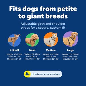 3-in-1 khai thác-thoải mái dễ dàng đi bộ con chó ngực khai thác với phía trước Dây Xích tập tin đính kèm để giảm kéo, nghẹt thở & bịt miệng - Product Image 3