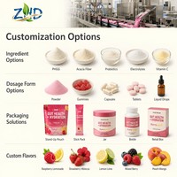 Mélange de boissons pour la santé intestinale et l'hydratation |   3g de fibres prébiotiques 2B CFU Probiotiques |   5 électrolytes saveur framboise et citron |   30 paquets de bâtonnets