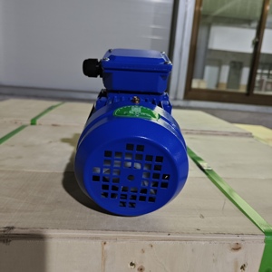 Nhà Máy Bán buôn ye3 400V 380V <span class=keywords><strong>220V</strong></span> 120W 180W <span class=keywords><strong>370W</strong></span> điện right angle AC ba giai đoạn không đồng bộ Worm Gear giảm động cơ - Product Image 6