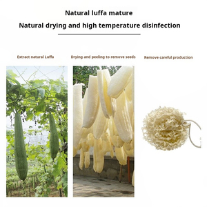 Brosse à vaisselle en loofah naturelle écologique à motif rayé, faite à la main, à torsion basse, pour le nettoyage de la cuisine, avec cœur en loofah - Product Image 3