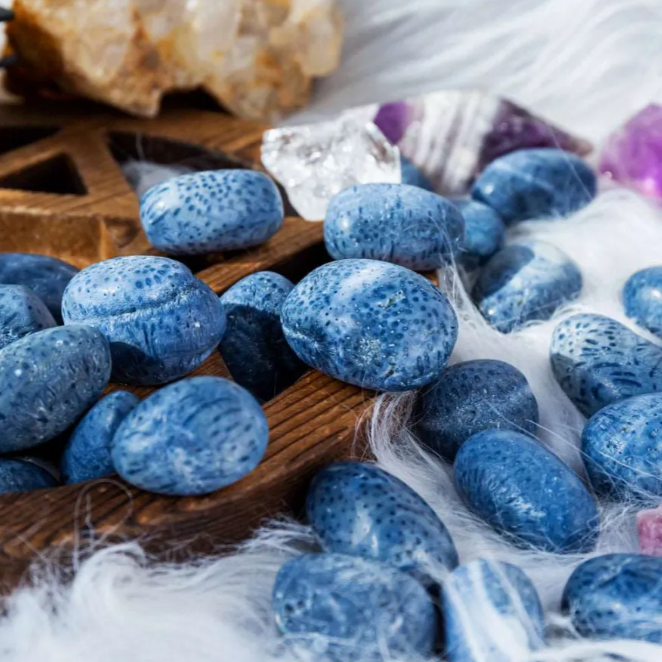 Corallo Blu Pietra Levigata