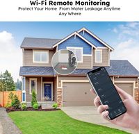 Kit détecteur d'eau avec alarme et concentrateur (1 unité), alerte fuite et goutte à goutte, compatible connexion Wi-Fi (ne prend pas en charge le Wi-Fi 5G)