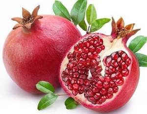 مسحوق خلاصة لحاء قشر الرمين من kleife بالجملة - Product Image 6