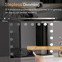 15 LED High-Definition Metal+Glass for Makeup Mirror Touch Switch Magnifying Personalized 3 Colors Lighting for Desktop