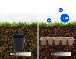 <span class=keywords><strong>Pots</strong></span> de jardin biodégradables écologiques <span class=keywords><strong>Pots</strong></span> de <span class=keywords><strong>tourbe</strong></span> <span class=keywords><strong>pour</strong></span> plantes à fleurs en pâte à papier avec chaîne de traînée <span class=keywords><strong>pour</strong></span> les <span class=keywords><strong>semis</strong></span> - Product Image 2