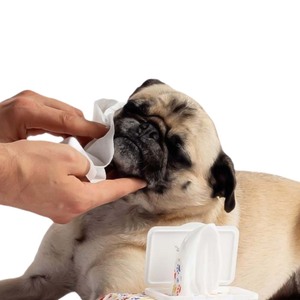 Service OEM lingettes nettoyantes sans alcool pour chiens marque privée lingettes nettoyantes douces pour animaux de compagnie <span class=keywords><strong>bio</strong></span> - Product Image 4