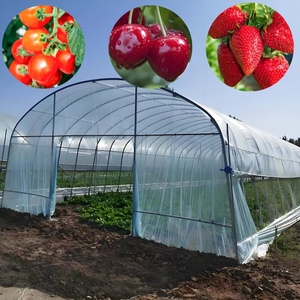 Serre agricole à simple travée avec couverture en film plastique PE, toit à enroulement motorisé sur le côté long - Product Image 1