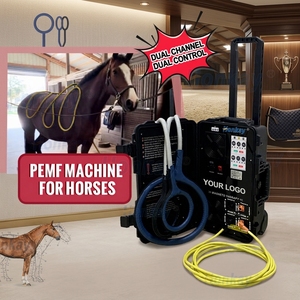 Equipo Portátil de PEMF Veterinario para Aliviar el Dolor, Aro de PEMF para Veterinarios - Product Image 1