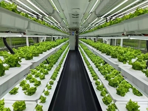 1000-1500kg/ngày tự động cỏ thức ăn lúa mạch thủy canh thức ăn gia súc máy/Thủy canh thức ăn gia súc hệ thống container cho động vật - Product Image 5