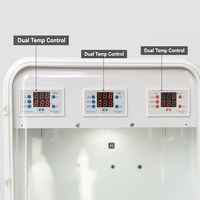 Couveuse pour jeunes oiseaux à température constante, spécifiquement conçue pour les calopsittes, pour l'élevage de poussins par air chaud en hiver, adaptée aux petits oiseaux semi-plumeux adultes