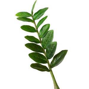 Árbol del Dinero Artificial Flower Delight, Bonsái de 30cm-100cm, PVC, Goma Suave, Ecológico, Decoración para el Hogar, Accesorios para Bodas - Product Image 1