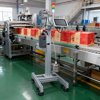 Impresora de Inyección de Tinta Piezoeléctrica DOCOD P2000, Máquina de Codificación PIJ P2000 Duradera, Tinta UV/de Secado Rápido para Plástico/Papel de Etiquetas, Impresión Precisa