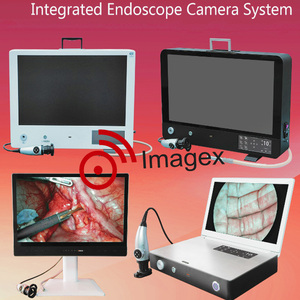 CE Veterinary Laryngoscopy Endoscopic Camera <strong>System</strong> for <strong>Small</strong> Animal ENT Diagnosis - Product Image 2