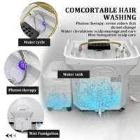 Bac à shampoing mobile en céramique moderne pour salon de coiffure, avec réservoir d'eau de 60 L, blanc, portable, pour utilisation dans la salle de bain