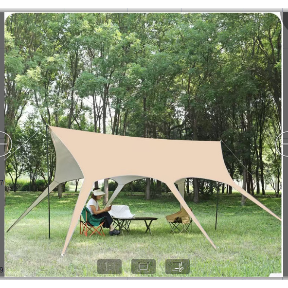[Silver Coating] - 3.3*4.5m Swallowtail-shaped Canopy