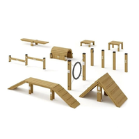 Structure de jeu multifonctionnelle haut de gamme pour animaux de compagnie : structure d'escalade, tunnel et poutre d'équilibre, non toxique et durable pour les jardins et les parcs pour animaux.