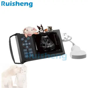 Vet ultrason makinesi tam dijital B modu ultrasonik teşhis aletleri veteriner ultrason koyun ultrason