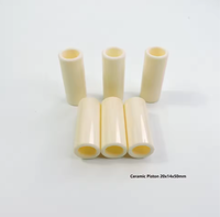 Plongeur en céramique pour pompes Interpump série T |   20 mm x 50 mm |   Remplacement haute performance pour les modèles 47 S