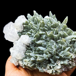 Nuovo Prodotto: Esemplare Minerale di <span class=keywords><strong>Calcite</strong></span> <span class=keywords><strong>Grezza</strong></span>, Specimen Originale di <span class=keywords><strong>Calcite</strong></span> UV per Collezionismo - Product Image 6