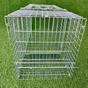 <span class=keywords><strong>Cage</strong></span> de piège pour animaux sauvages vivants galvanisée professionnelle pliable réutilisable Offre Spéciale de haute qualité - Product Image 6