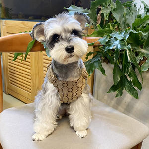 สายรัดอกสุนัขขนาดเล็กถึงกลาง สำหรับสุนัขขนสั้นครึ่งตัว สำหรับการค้าต่างประเทศข้ามพรมแดน บน AliExpress <span class=keywords><strong>International</strong></span> Station และ Wish - Product Image 2