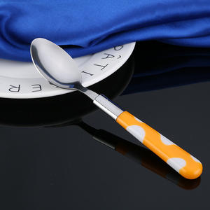 Набор столовых приборов из нержавеющей стали с пластиковой ручкой - Product Image 3