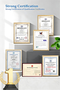 Suplemen Nutrisi Hewan Peliharaan OEM/ODM untuk Anjing Kucing - Dukungan Imunitas Kesehatan Sendi/Pencernaan 24-in-1 Multivitamin Tablet Kunyah - Product Image 4