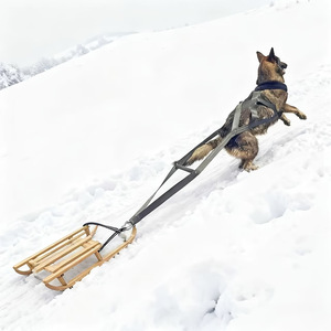 Arnés de Pecho Multifuncional No Retráctil para Entrenamiento de Perros, para Arrastre de Trineo y Desarrollo de Potencia Explosiva Muscular - Product Image 1