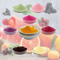 Gemengde Superfood Fruitpoeder Drank Kwaliteit Voedsel Vloeibare Vorm Wortel Frambozen Cranberry Bosbes Aardbei Zwarte Bes Poeders