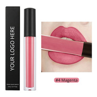 Set de Lápiz Labial Mineral al por Mayor MLM, Logotipo Personalizado, Larga Duración, Vegano, Marca Privada, Lápiz Labial Líquido Mate con Delineador de Labios