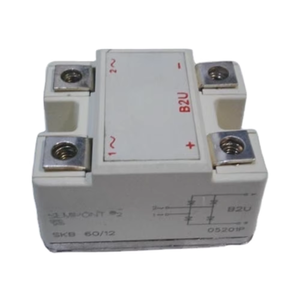 Một Pha IGBT cầu chỉnh lưu skb60/16 loạt mô-đun bán dẫn Rời Rạc bao gồm skb60/12 skb60/08 skb60/04 - Product Image 1