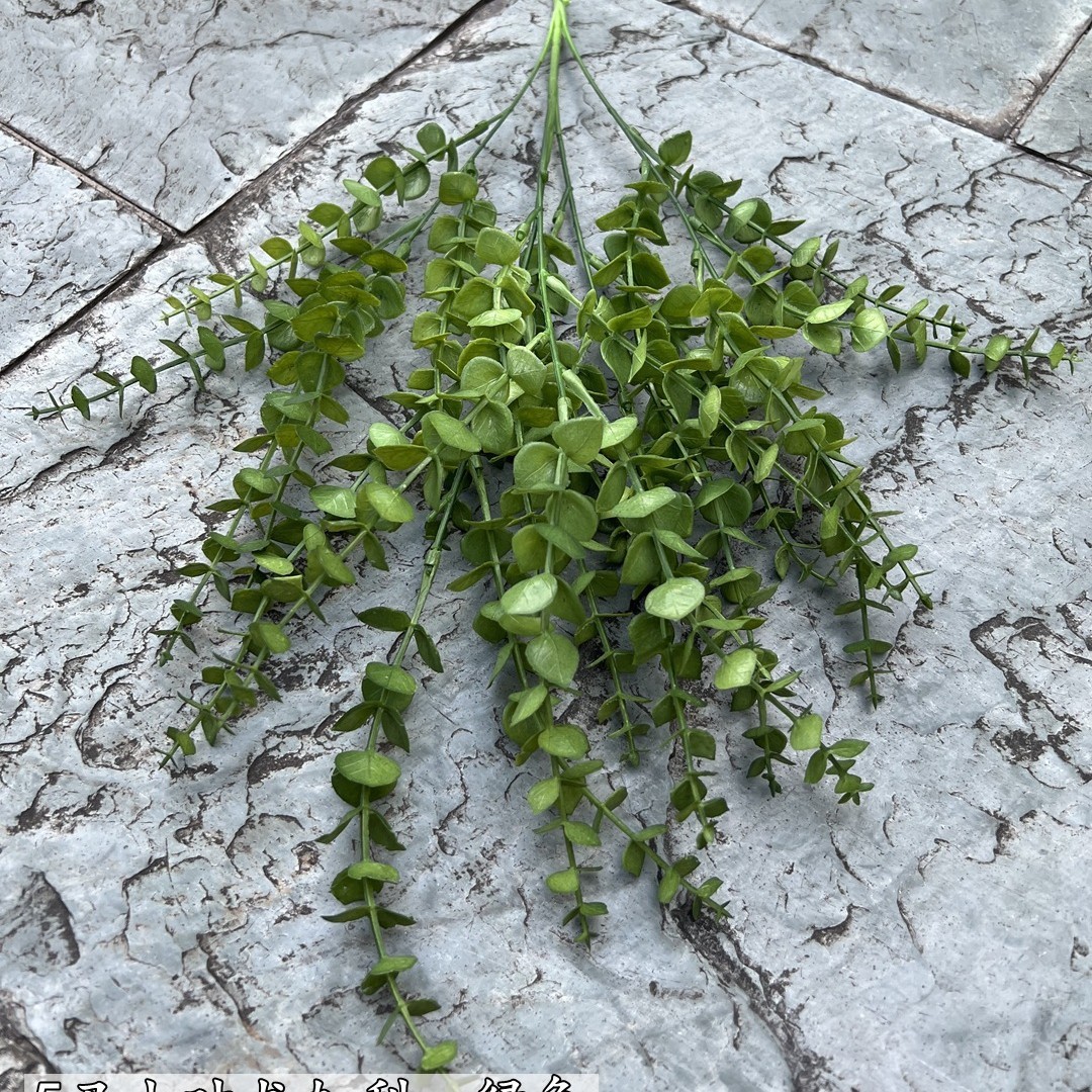 Small-leaf eucalyptus-deep green