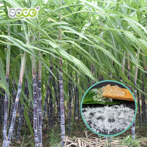 Poliacrilato de Potasio para Plantas Agrícolas, Polímero Súper Absorbente, Cristal de Savia, Hidrogel - Product Image 1