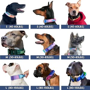 Collare e Guinzaglio per Cani JTPAWS in Nylon, Regolabile, Resistente, Facile da Maneggiare, Personalizzabile per Cani di Taglia Grande e Media - Product Image 5