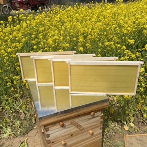 Los Fabricantes Venden una Gran Cantidad de Nuevos Cuadros de Panal y Bases de Cera de Abeja - Product Image 4