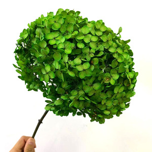 20-25CM Big Head Preserved Hydrangea Flowers Real Dried Natural Preserved Branches Eternal flowers Forever Hydrangeas With Pole