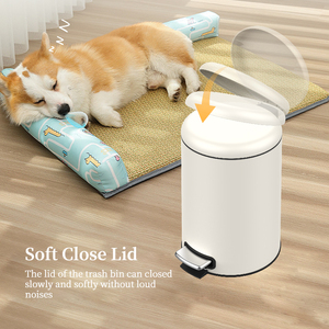 Poubelle à pédale mini 3 litres Actionne Le Pied SW6979-3L - Product Image 2