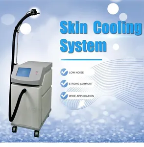 -40C puissant Zimmer refroidisseur d'air machine de refroidissement de la peau soulagement de la douleur de la peau pour le détatouage au laser élimination des cicatrices cryoanesthésie de la peau