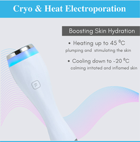 Offre Spéciale 2 en 1 Cryo électroporation faciale refroidissement et chauffage peau levage peau apaisant ion élimination des rides Machine