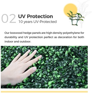 Paneles de Cerca de Plástico Anti-UV de 50*50cm, Tapete de Boj Artificial para Decoración de Jardín - Product Image 5