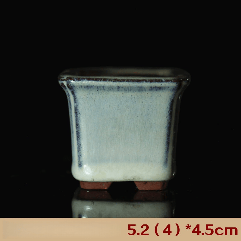 Carré blanc de 2,5 pouces