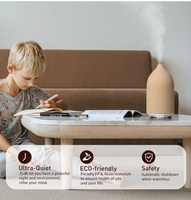 Diffuseur d'huile essentielle et petit humidificateur ultrasonique pour hôtel, produit aromatique, ODM OEM, à petit air h2o, résine pour hall d'entrée d'hôtel, 100ml